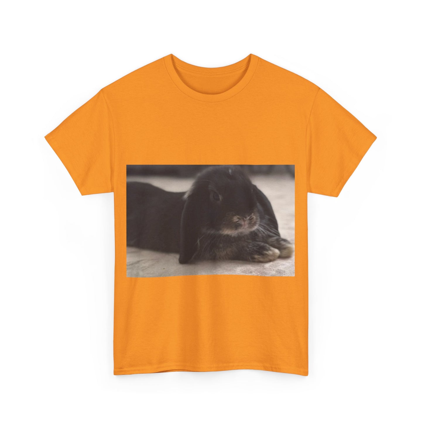 Cozy Rabbit Lover's Unisex Tee, Cute Animal Shirt, Gift for Pet Owners, Casual Everyday Wear, Birthday Present, Animal Lover Apparel