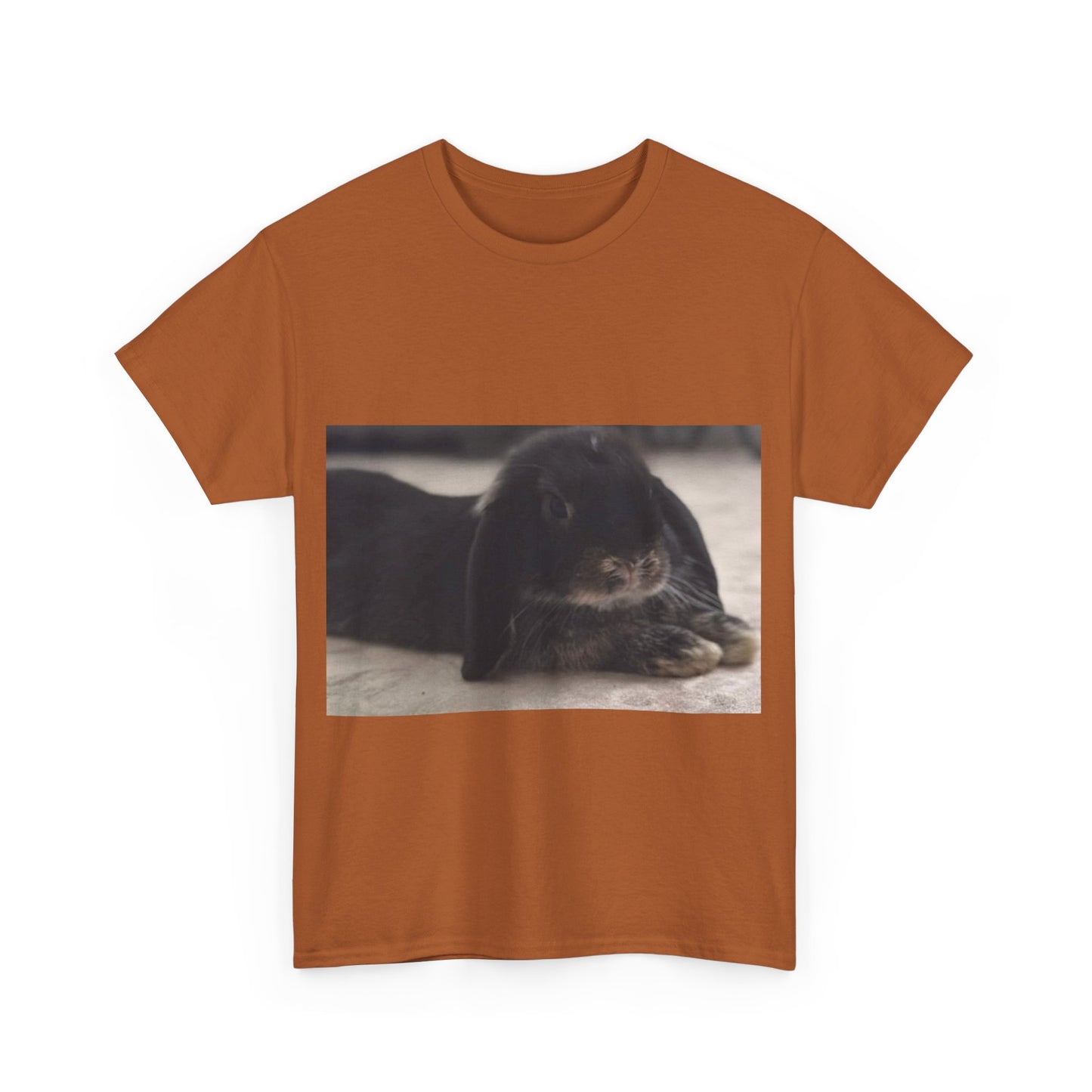 Cozy Rabbit Lover's Unisex Tee, Cute Animal Shirt, Gift for Pet Owners, Casual Everyday Wear, Birthday Present, Animal Lover Apparel