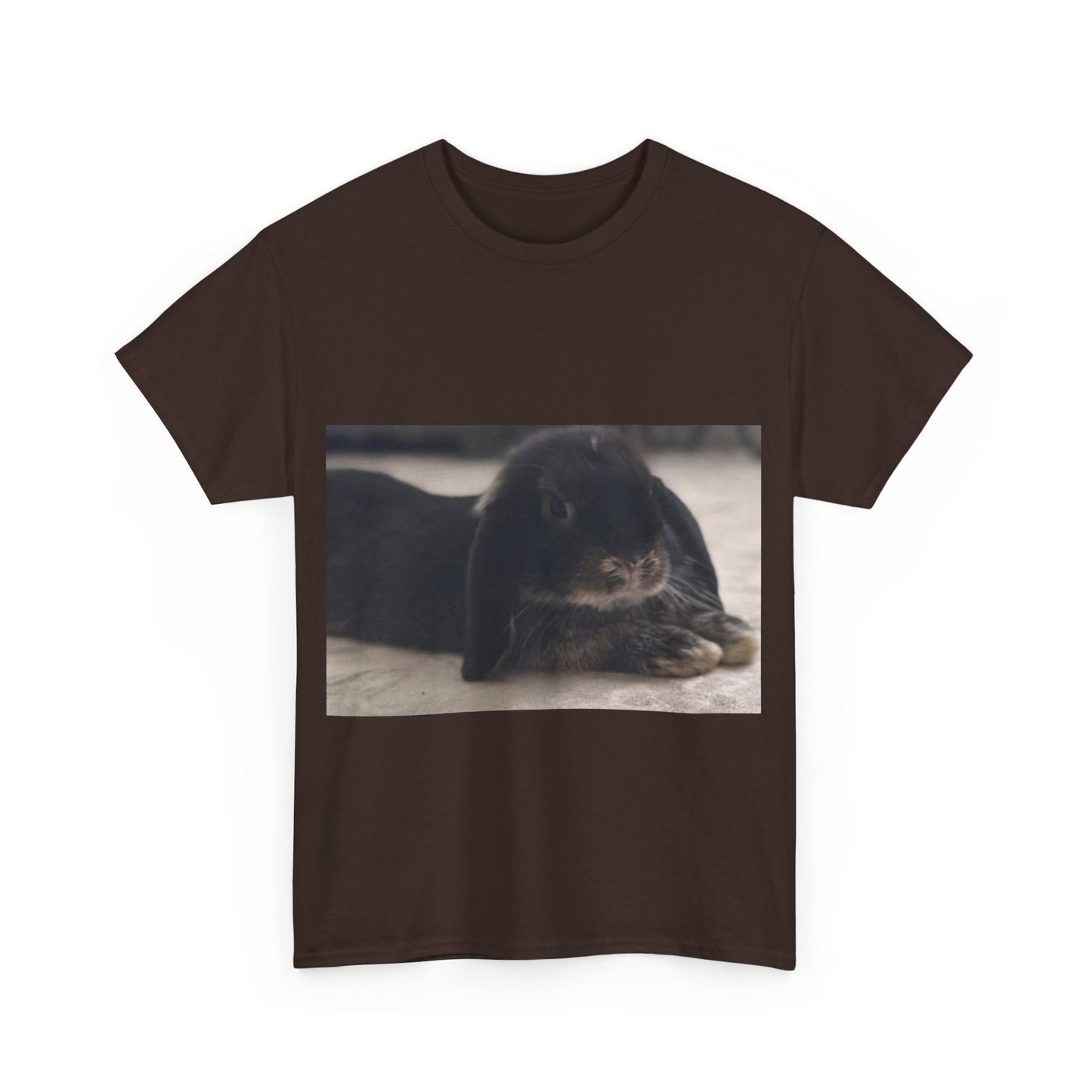 Cozy Rabbit Lover's Unisex Tee, Cute Animal Shirt, Gift for Pet Owners, Casual Everyday Wear, Birthday Present, Animal Lover Apparel