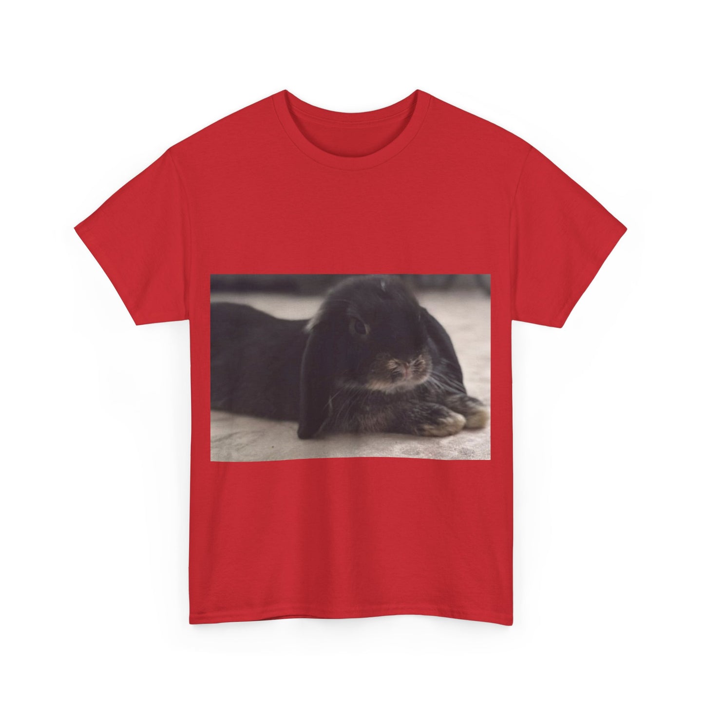 Cozy Rabbit Lover's Unisex Tee, Cute Animal Shirt, Gift for Pet Owners, Casual Everyday Wear, Birthday Present, Animal Lover Apparel