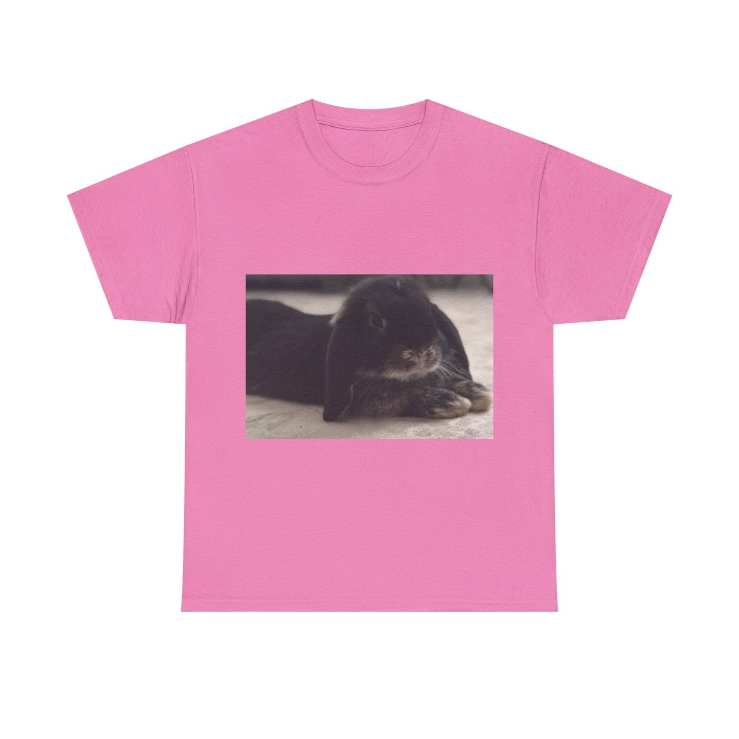 Cozy Rabbit Lover's Unisex Tee, Cute Animal Shirt, Gift for Pet Owners, Casual Everyday Wear, Birthday Present, Animal Lover Apparel