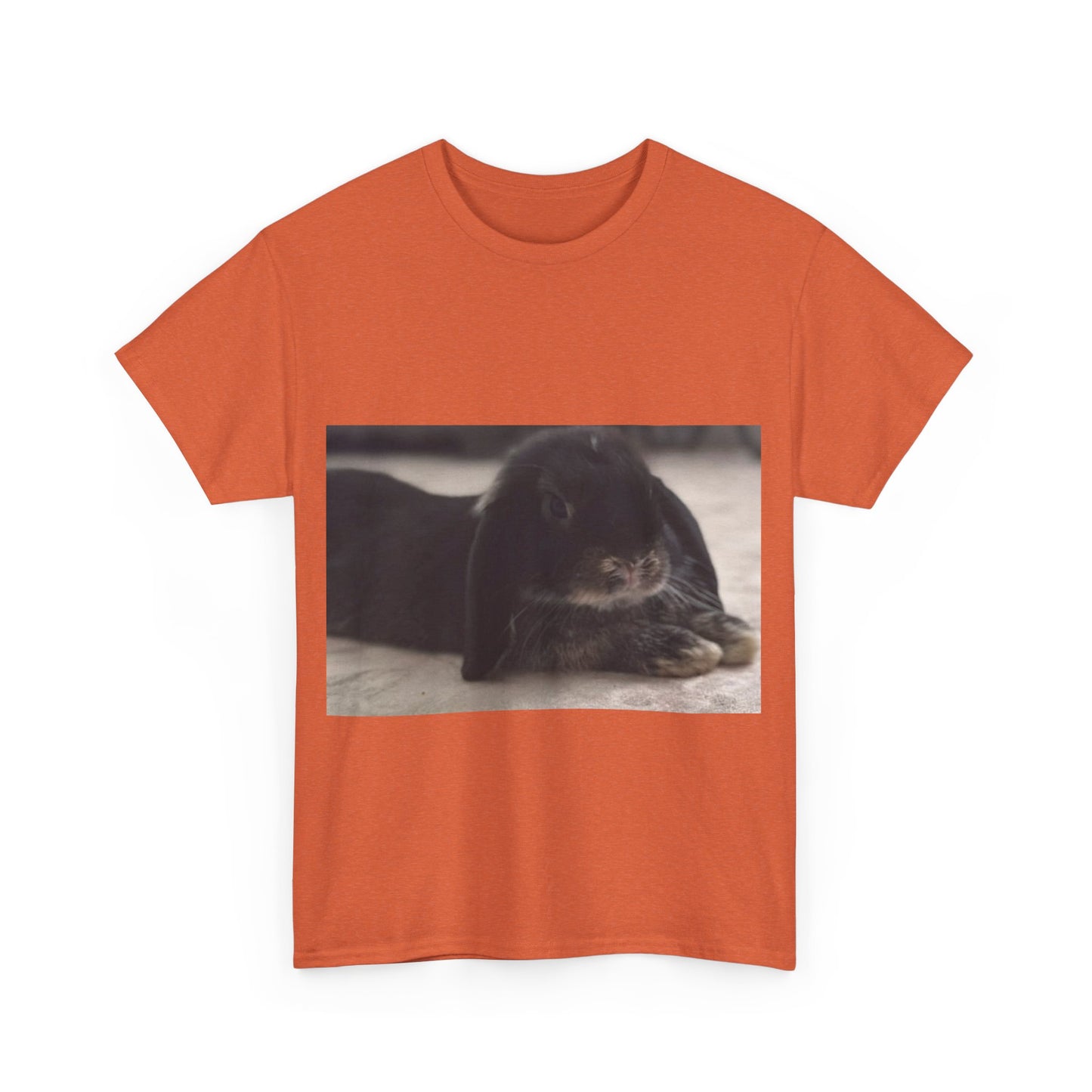 Cozy Rabbit Lover's Unisex Tee, Cute Animal Shirt, Gift for Pet Owners, Casual Everyday Wear, Birthday Present, Animal Lover Apparel