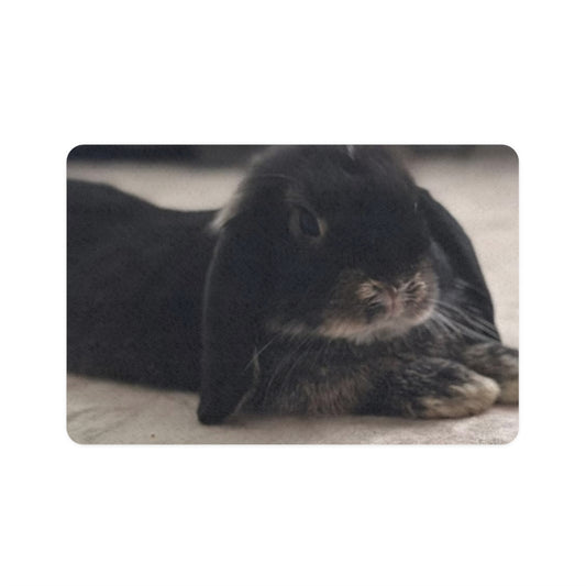 Cute Pet Food Mat for Cats & Dogs, Non-Slip Pet Mat, Animal Feeding Mat, Kitchen Decor, Rabbit Lover Gift, Pet Supplies