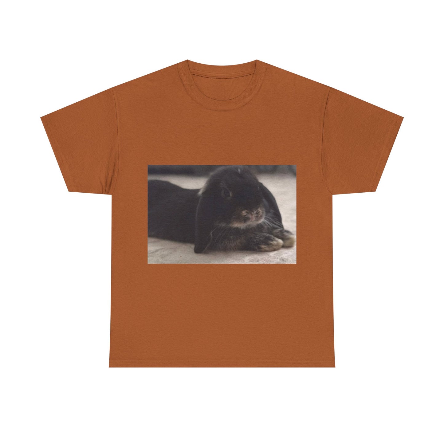 Cozy Rabbit Lover's Unisex Tee, Cute Animal Shirt, Gift for Pet Owners, Casual Everyday Wear, Birthday Present, Animal Lover Apparel