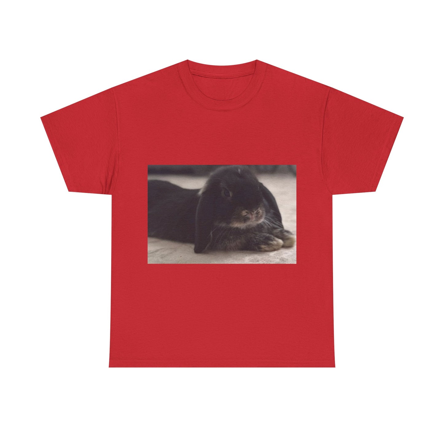Cozy Rabbit Lover's Unisex Tee, Cute Animal Shirt, Gift for Pet Owners, Casual Everyday Wear, Birthday Present, Animal Lover Apparel