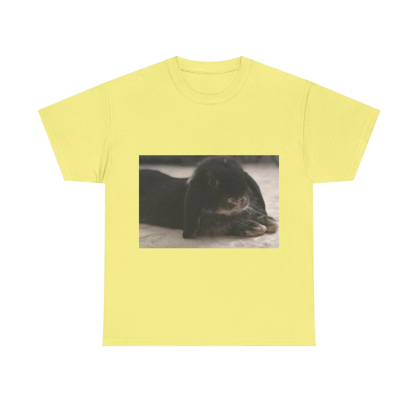 Cozy Rabbit Lover's Unisex Tee, Cute Animal Shirt, Gift for Pet Owners, Casual Everyday Wear, Birthday Present, Animal Lover Apparel