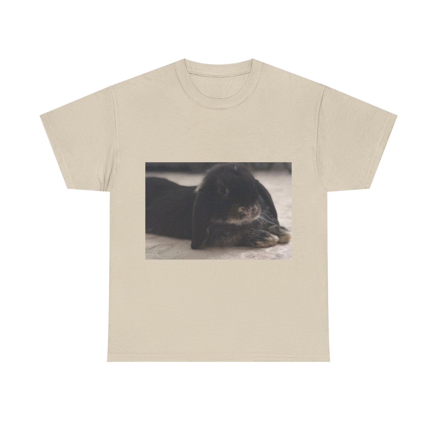 Cozy Rabbit Lover's Unisex Tee, Cute Animal Shirt, Gift for Pet Owners, Casual Everyday Wear, Birthday Present, Animal Lover Apparel