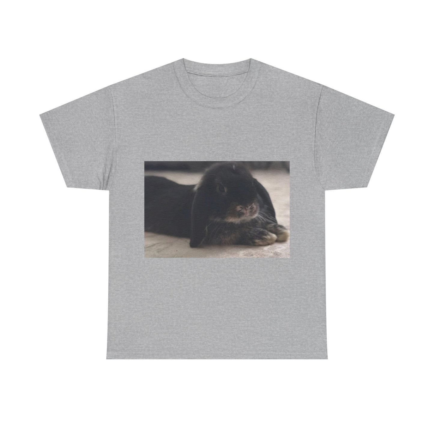 Cozy Rabbit Lover's Unisex Tee, Cute Animal Shirt, Gift for Pet Owners, Casual Everyday Wear, Birthday Present, Animal Lover Apparel