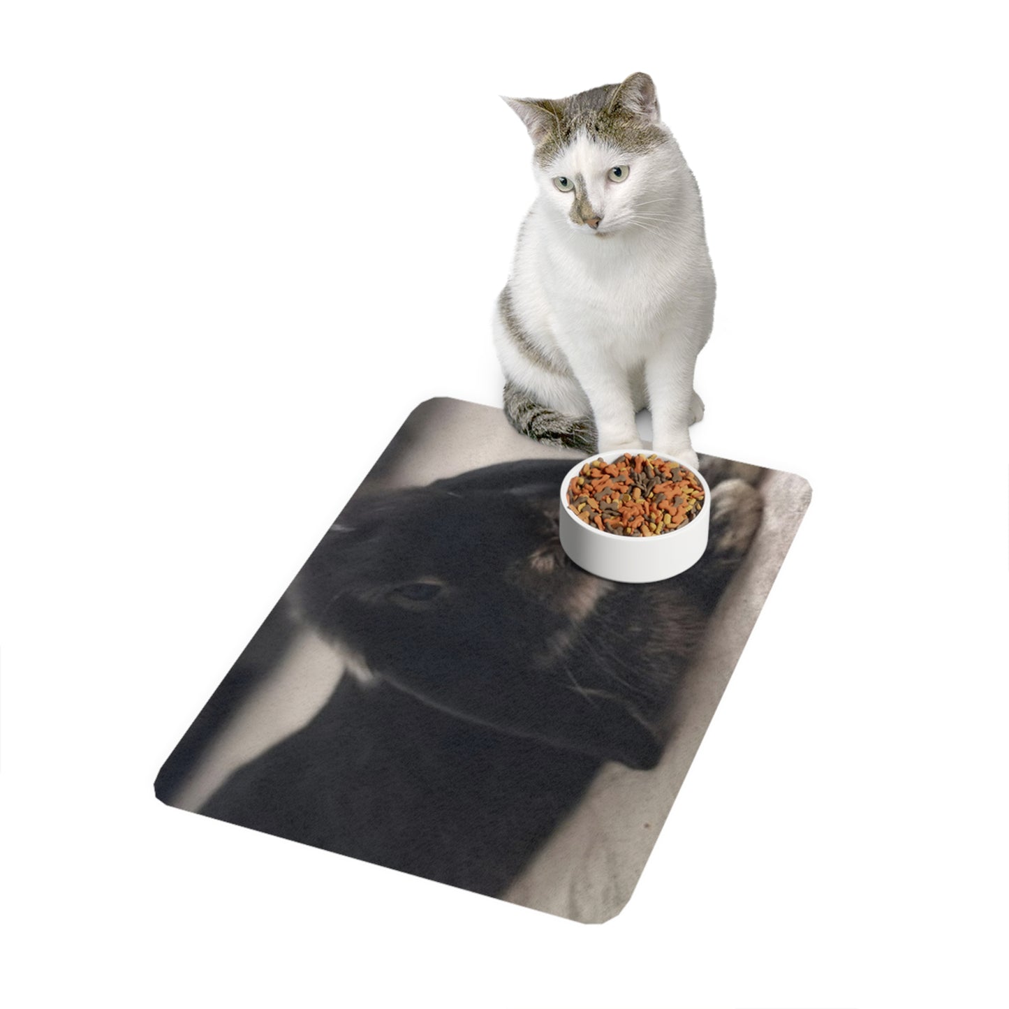 Cute Pet Food Mat for Cats & Dogs, Non-Slip Pet Mat, Animal Feeding Mat, Kitchen Decor, Rabbit Lover Gift, Pet Supplies