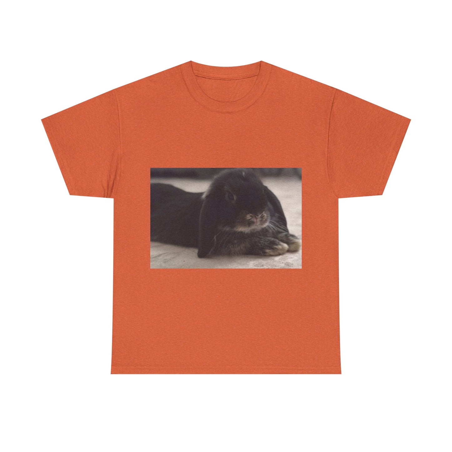 Cozy Rabbit Lover's Unisex Tee, Cute Animal Shirt, Gift for Pet Owners, Casual Everyday Wear, Birthday Present, Animal Lover Apparel
